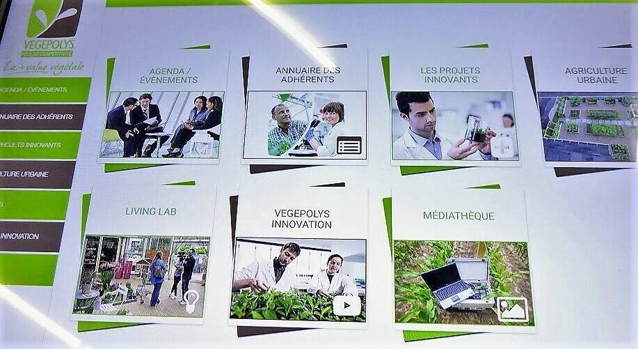 SIVAl-Vegepolys|SIVAL-Janny-MT|SIVAL-concours_agreen_start_up|INRA-Artaban-var|Syngenta-col-cordoba|Olmi-deshojadora|Hortinergy|LeafCrop|ALPO-tractores|Weenat